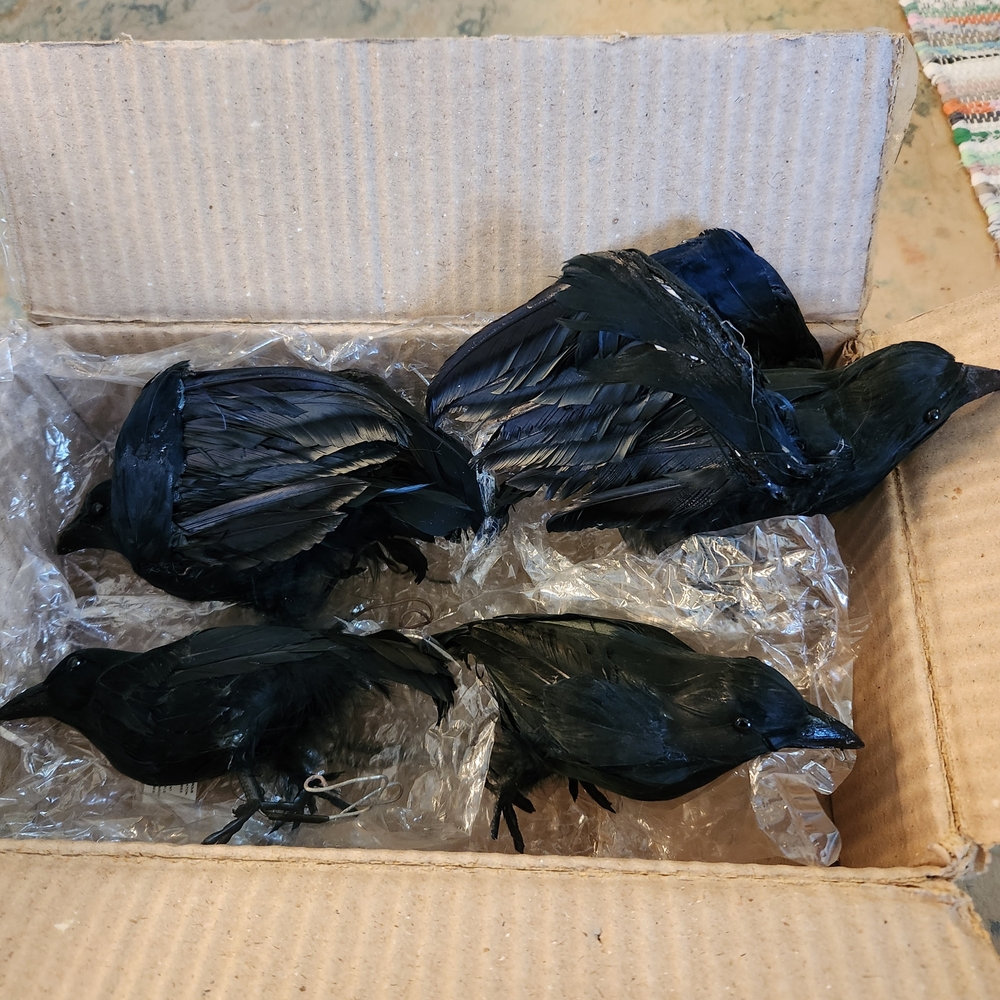 Black Feathered Bird Decor Set